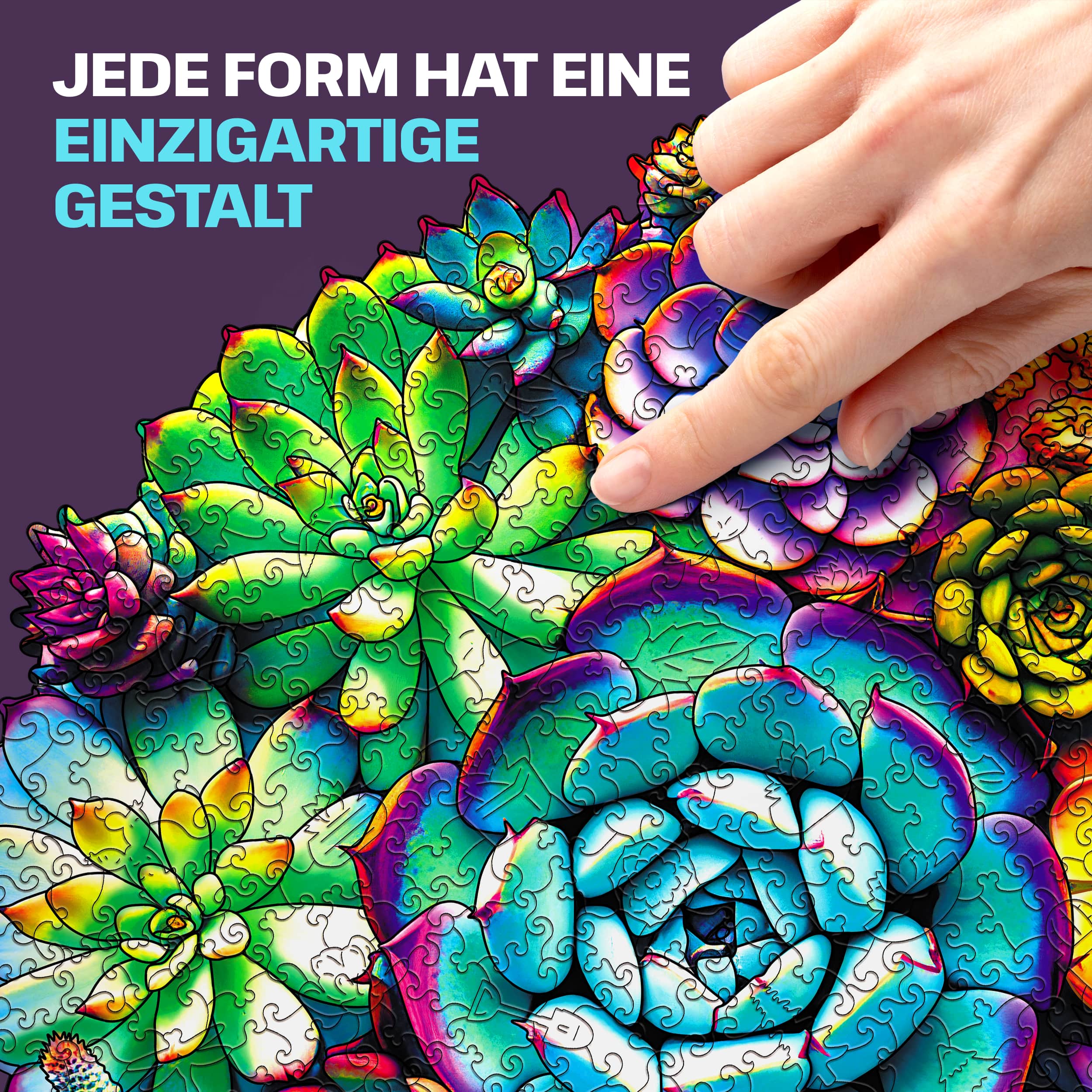 Fotos und Abbildungen von SUCCULENT PUZZLE 500 Teile. ESC WELT.